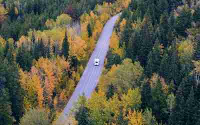 Rake in Profits This Fall: Five Ways F&I Turns the Off-Season into Golden Opportunity